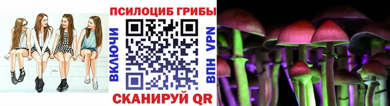 Псилоцибиновые грибы Psilocybine cubensis  сколько стоит  Трёхгорный 